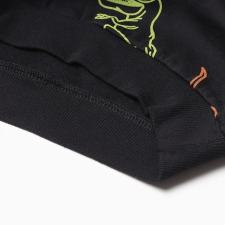 Sweatshirt for a boy, black/dino color, height 116 cm-3