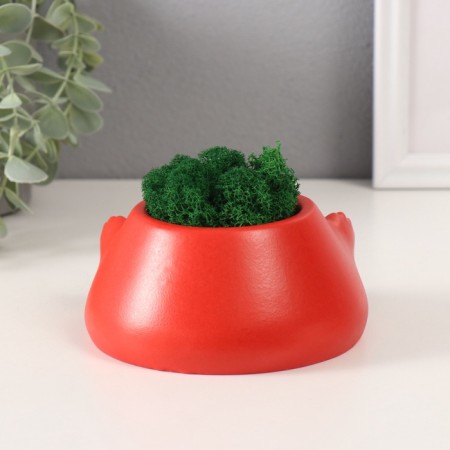 Concrete Kashpo "Evil Laughter" with moss 6.5*12.5cm red (moss green stabilized)-2
