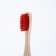 Bamboo toothbrush of medium stiffness, Mix flowers