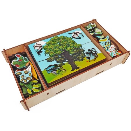 Wooden puzzles "trees and what is growing on them"-5
