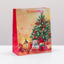 Gift package 