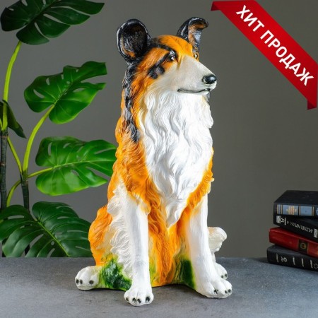 Piggy bank "Collie" 35x34x55cm