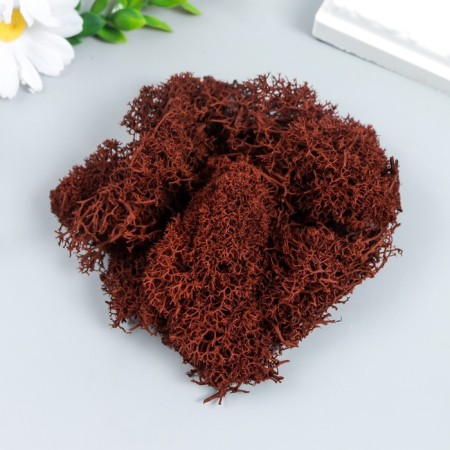 The moss stabilized "brown" 45 gr (+-5 gr).