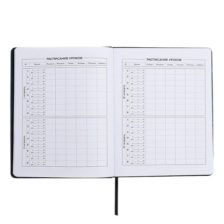 School diary for grades 1-11, dragon's eye, hard cover, artificial leather, application, pancake embossing, foil embossing, universal cheat sheet, 48 sheets, block 80g/m2-7