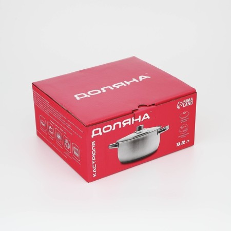 Stainless steel pan “Grette”, 3.2 l, d = 20 cm, with a lid, the capsule, induction-7