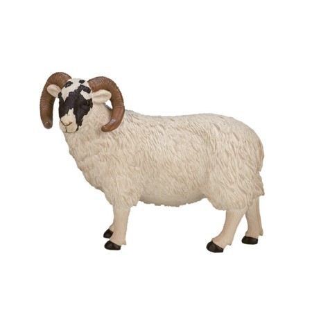 Figure Konik "Scottish black -headed ram"