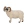 Figure Konik "Scottish black -headed ram"
