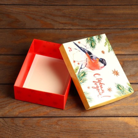 Box a team cover is, without a window, "bullshit", 16.5 x 12.5 x 5.2 cm-3