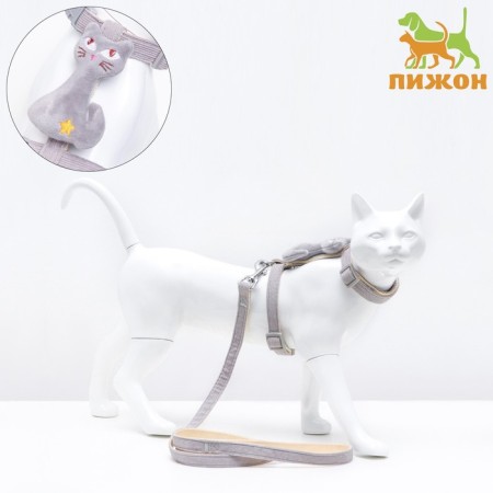 A set of ammunition with a toy, m, leash 120 x 1.5 cm, gray