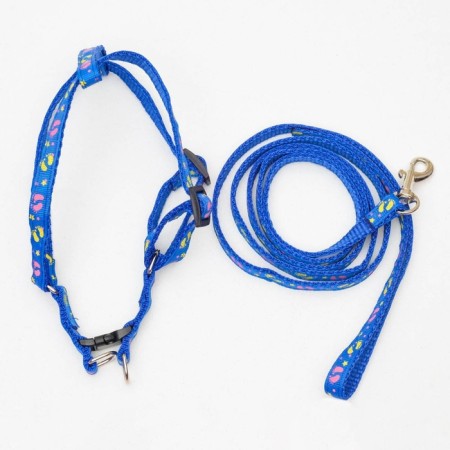 Set "Color Transes", leash 120 x 1 cm, fire 23-35 cm, blue-4