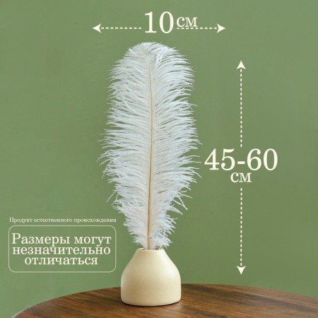 Feather for decor, length: from 45 to 60 cm, white color-1