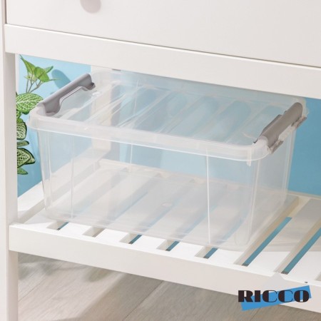 The storage container with the Ricco lid, 15 l, 41 × 29.5 × 18.3 cm, the color is transparent