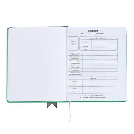 Universal diary for grades 1-11 Lenta, solid cover of artificial leather, applique, silkography, liesse, 48 sheets, green-3