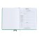 Universal diary for grades 1-11 Lenta, solid cover of artificial leather, applique, silkography, liesse, 48 sheets, green