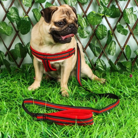 The ammunition set is soft, reflective, leash 120 x 2 cm, Osh 25-72 cm, red-10