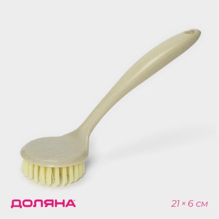 Brush for dishes of share, 21 × 6 cm