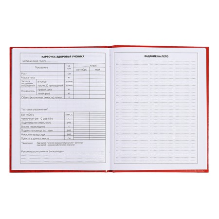 Diary for grades 5-11, 48 sheets of "Russian schoolchildren No. 3", solid cover, glossy lamination, block 60 g/m2-11