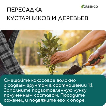 Coconut fiber, for mulching, 20 l, Greengo-6