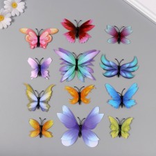 Magnet Plastic 