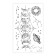 Set with tattoo transmission "Phases of the Moon"
