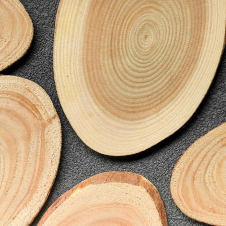 Saw a tree "larch", oval, d = 4-8 cm, h = 3.5 mm-2