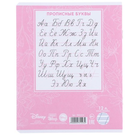 Notebook in a slanting ruler of 12 sheets, 5 types of mix, cover coated cardboard, cats aristocrats-6