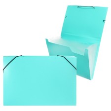 Folder Carder Calligrata watercolor 13 department. A4 plastic 0.7mm mint, black resident