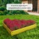 Galf flowerbed, 70 × 15 cm, yellow, “Terpion”, Greengo