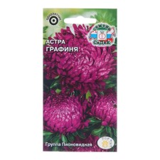 Flower seeds Astra 
