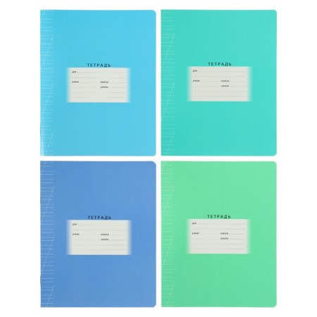 Notebook 12 sheets in the slanting line, cover coated cardboard, mix