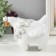 Souvenir Polystone "Funny cockerel. Surprise" 13x13x14 cm