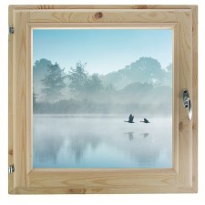 Window, 50 × 60cm, 