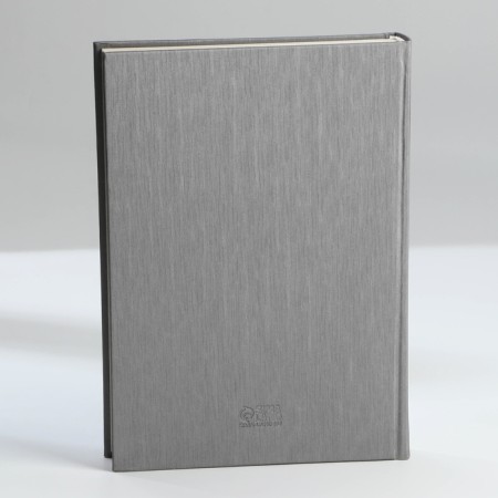 Deliciper of Leduced A5, 160 liters. Solid cover. Leatherette. Grey. Cream block-9
