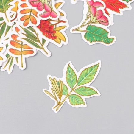Stickers for creativity "leaves" embossing gold set 48 pcs 9x7x0.8 cm-2