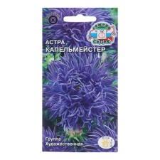 Flower seeds Astra 