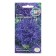 Flower seeds Astra "dropmaster", euro, 0.2 g