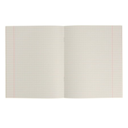 A notebook "Brick" 40 sheets in the cell "Physics", paper cover, block No. 2-1
