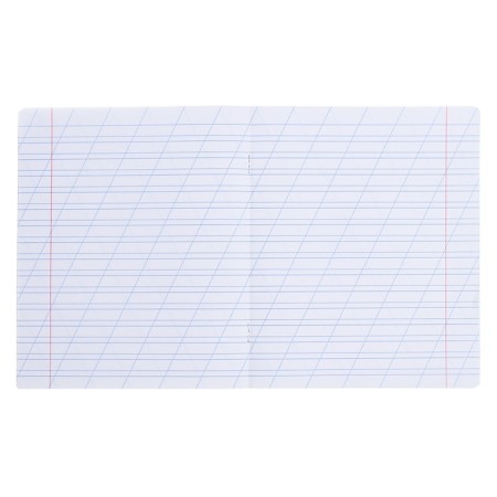 Notebook 12 sheets in the slanting line of Erichkrause CoverPro classic, plastic cover, offset block, mix-11