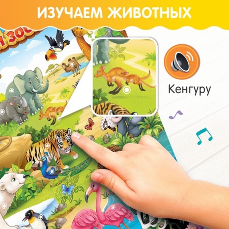 Talking electronic poster "Funny Zoo", sound effects-3