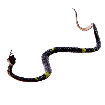 Set of animals "Swamp", 7 figures-6