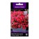 Flowers of Petunia Cascading Thaid Vayv Cherry, 5pcs