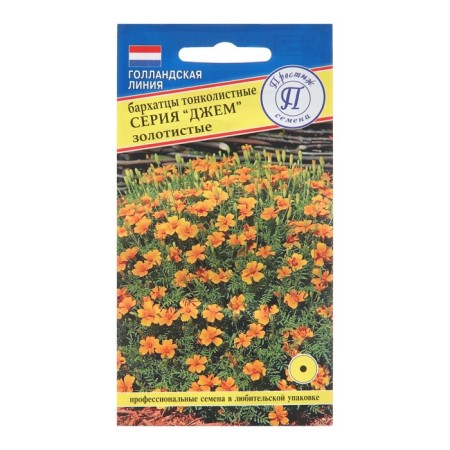 Flower seeds of velvets are thin -leaved "jam", golden, 10 pcs