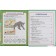 Full annual course. 3-4 years, M.A. Zhukova, 96 p., Hard binding