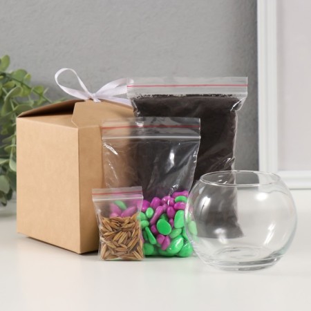 Set for growing plants "grow grass" Shar transparent-4
