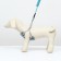 AMUNICE kit with a soft breathing harness and a round leash 120 x 1 cm, blue