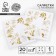 Paper napkins "Nature", 20 pcs., 25 × 25 cm, gold embossing