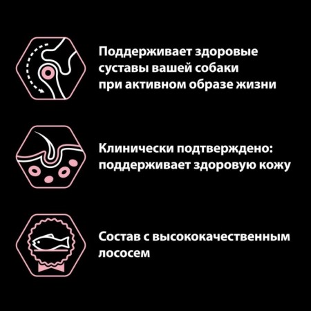 Сухой корм PRO PLAN для собак крупных пород, мощное тело, лосось, 14 кг-2