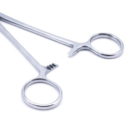 Clamp = cornzang fishing namazu, l = 220 mm, curved, stainless steel-4