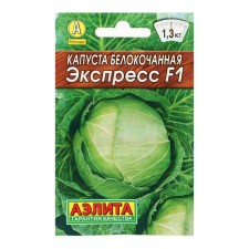 White cabbage seeds 