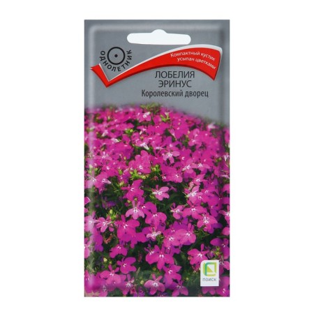 Lobelia flowers Erinus "Royal Palace", 0.1 g
